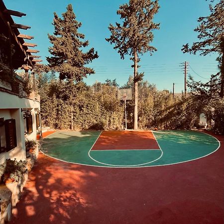 Villa Eleni Szúnio Kültér fotó