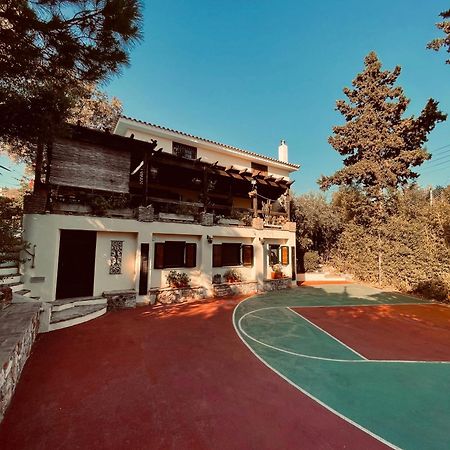 Villa Eleni Szúnio Kültér fotó